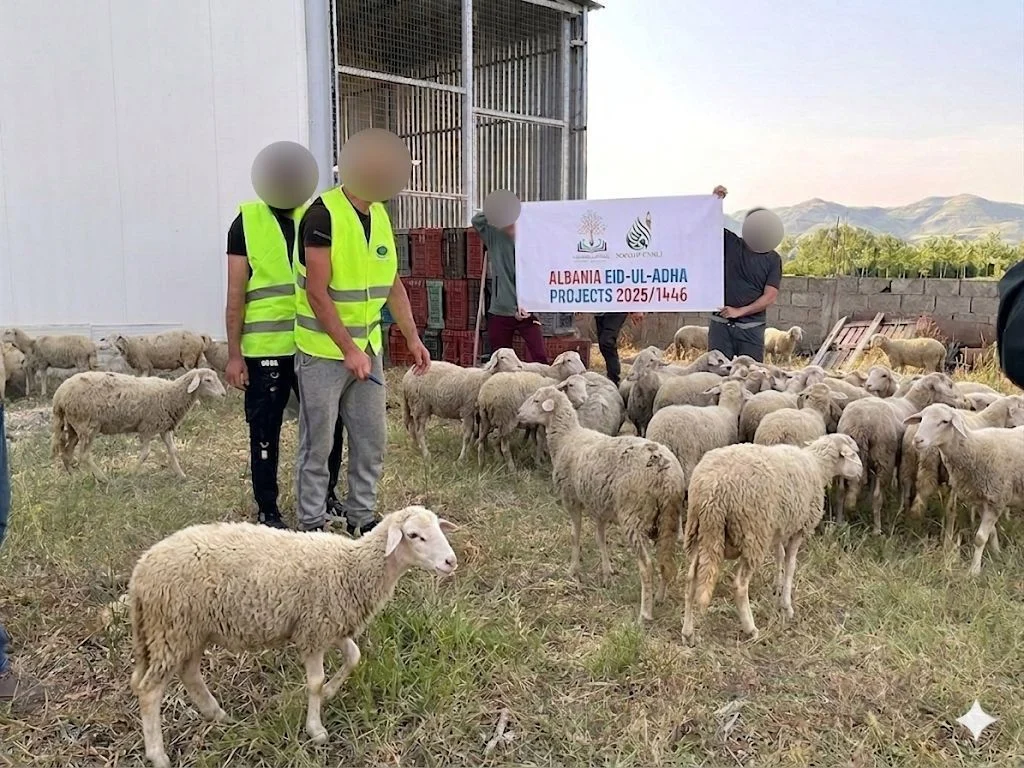 Qurbani in Albania